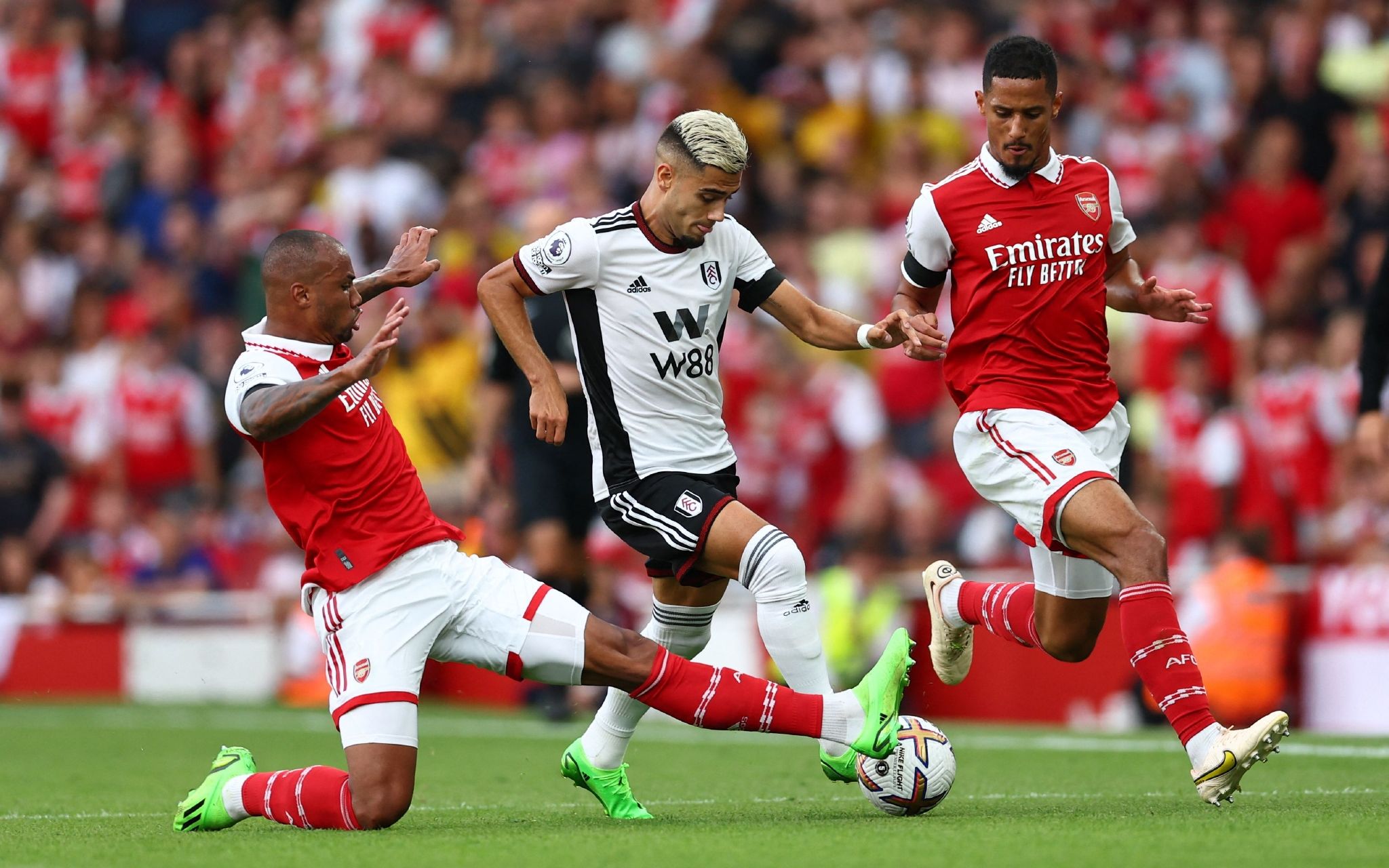 高水准篮球 高水准篮球